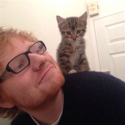 Image Result For Ed Sheeran Memes Ed Sheeran Cat People Cat Lovers