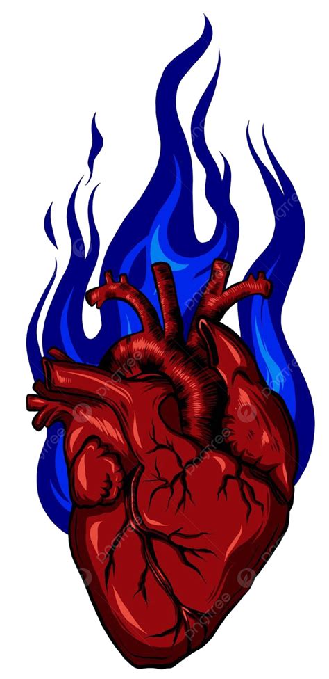 Flaming Heart Illustration Png Vector Psd And Clipart With