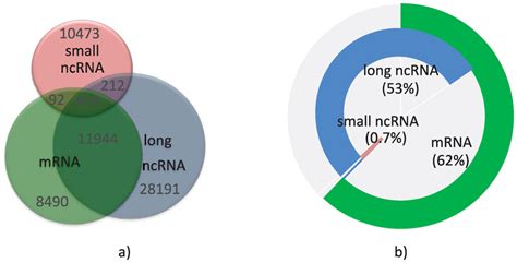 Genes Free Full Text The Human Transcriptome An Unfinished Story