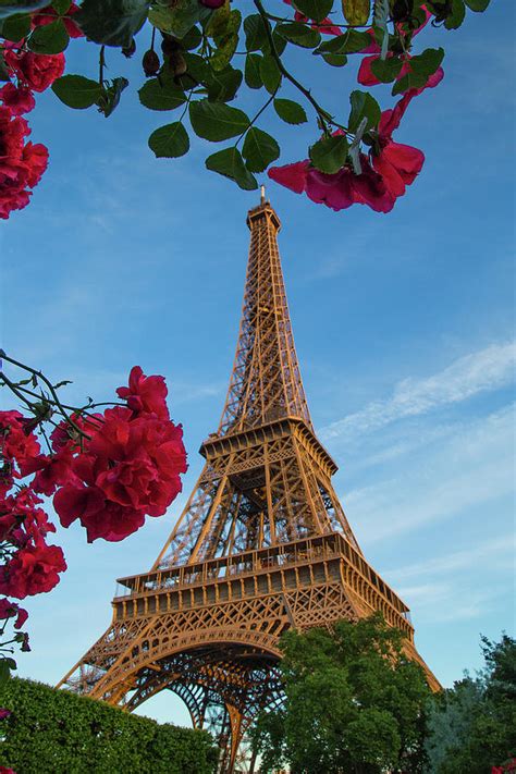 Eiffel Tower Through Red Roses Photograph By Lowell Monke Pixels