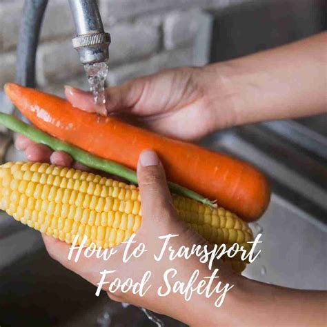How To Transport Food Safety