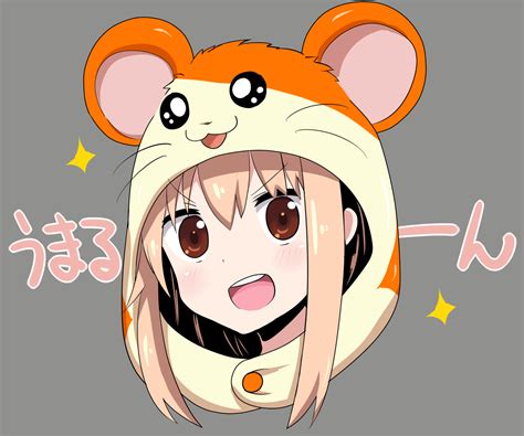 ﾊﾑﾀﾛｫｻｧﾝ Hamster Hoodie Umarus Kigurumi Know Your Meme