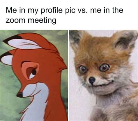30 Funny Zoom Memes And Jokes To Laugh At While Your Mic Is Muted