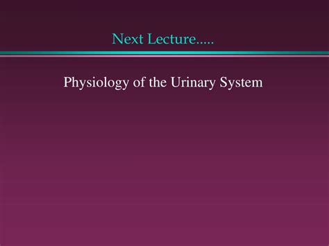 Ppt Anatomy Of The Urinary System Powerpoint Presentation Free