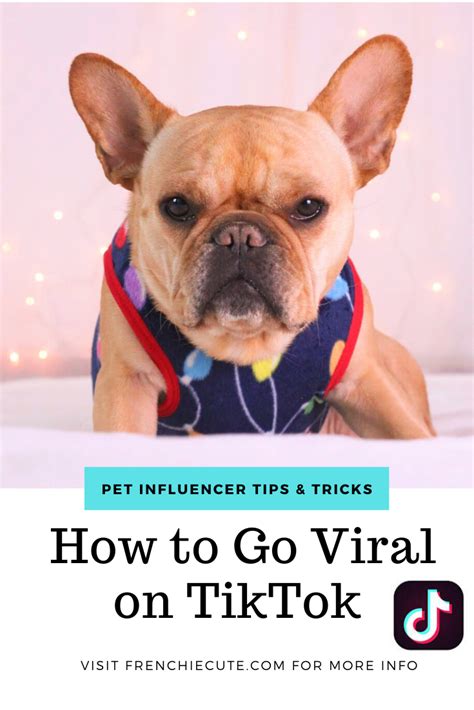 Jan 02, 2021 · general hashtags to help you get on the for you page. How to Go Viral on TikTok in 2020 | Viral, Dog photography ...