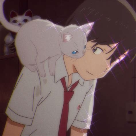 A Whisker Away Icons Amor De Gato Filmes De Anime Personagens De Anime