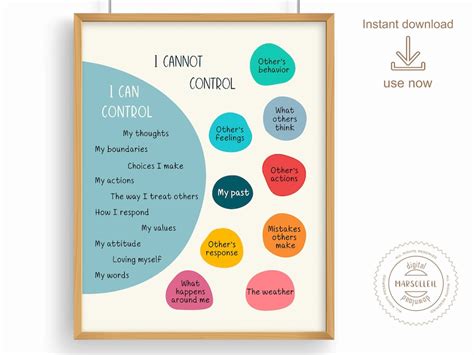 Things I Can Control Poster Counselor Office Decor Cognitive Etsy