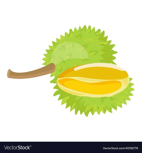 Durian Food Icon Cartoon Sweet Fruit Royalty Free Vector