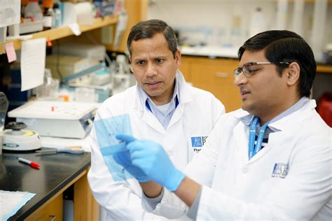 Roswell Park Researchers Identify New Treatment Target For Prostate