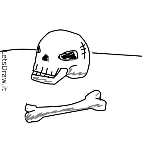 How To Draw Bone Cm3zbg3pupng Letsdrawit