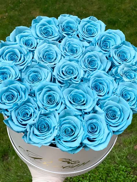 Baby Blue Roses Delivery Tuyet Minter