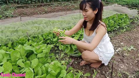 Beautiful Single Mom Picking Super Cute Vegetable Beautiful Mom Youtube
