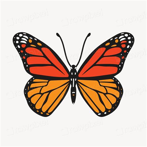 Monarch Butterfly Cute Cartoon Illustration Free Photo Illustration