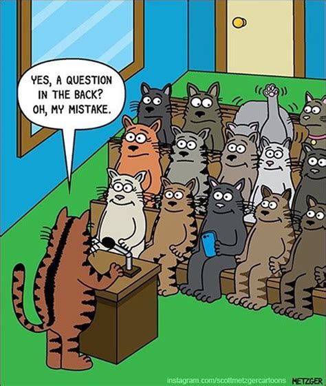 Fresh And Funny Cat Comics By The Brilliant Scott Metzger Cat Jokes