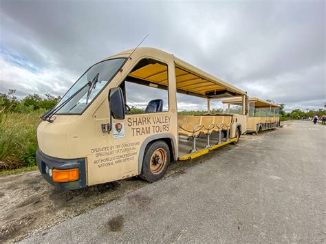 Shark Valley Tram Tours Rondreizen Noord Amerika