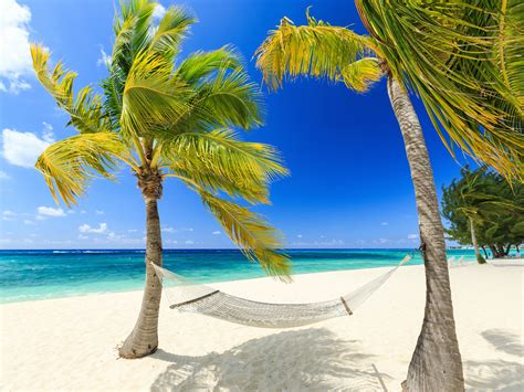 Tropisch Paradies Meer Strand Palmen Hängematte Sommer 3840x2160