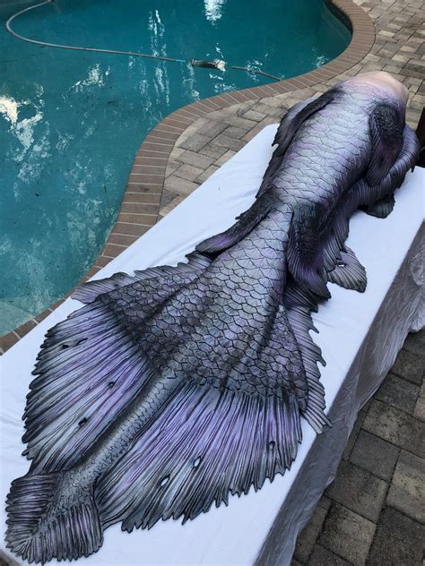 Signature Line — Mernation Inc Silicone Mermaid Tails Dark Mermaid