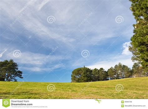 Beautiful Spring Landscape Green Meadow Trees And Blue Sky Background