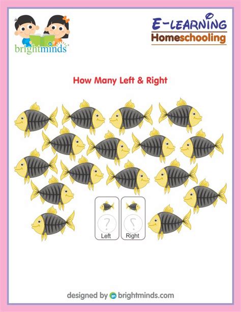 How Many Left And Right Bright Minds Elearning Platform