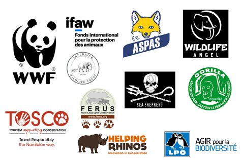 10 Associations Pour La Protection Des Animaux Sauvages