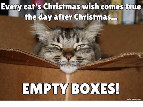 Pin By Sylviane Cohen On Cats Christmas Cats Kittens Funny Cats