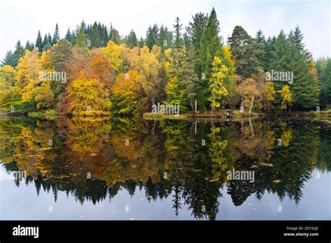 Pitlochry Scotland Uk 20 October 2020 Autumn Colours At Loch