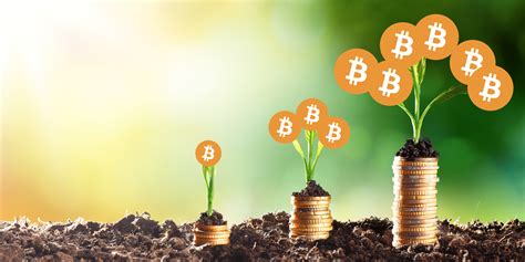 You can link your lunch money to any of the popular. Increase Your Crypto Portfolio Like a Pro, Master the ...