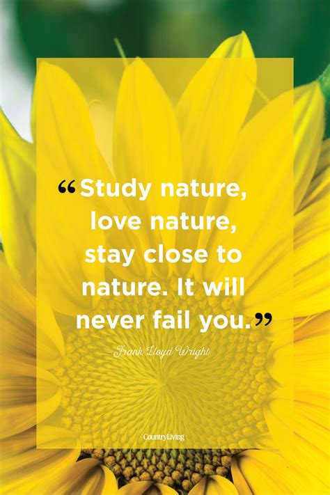 25 Best Nature Quotes Inspirational Sayings About Nature