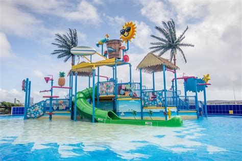 Playground In Paradise Fun And Flamingos On De Palm Island Aruba