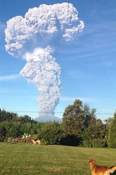 1500 Evacuated As Chiles Calbuco Volcano Erupts Volcano Volcano
