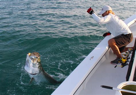 Florida Tarpon Fishing Charters Boca Grande Tarpon