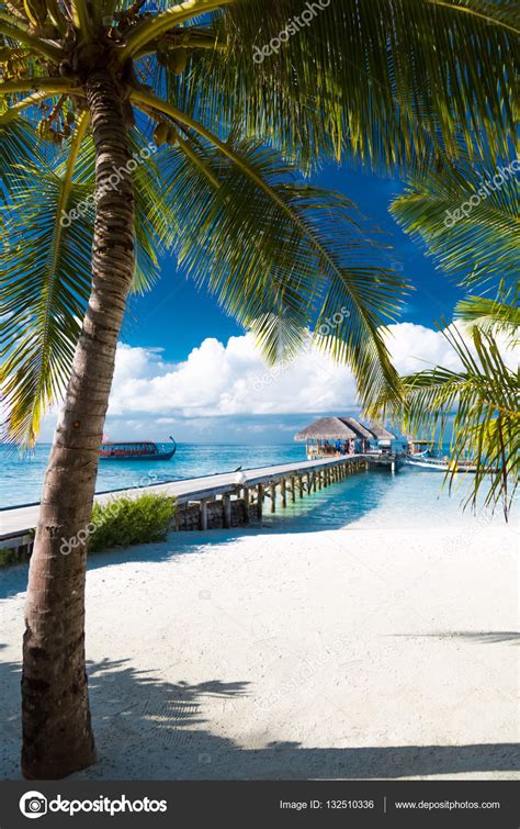Tranquil Beach Scene Exotic Tropical Beach Landscape Background Wallpaper Design — Stock Photo