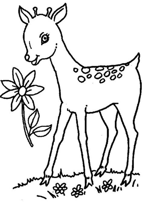 Free And Easy To Print Deer Coloring Pages Tulamama