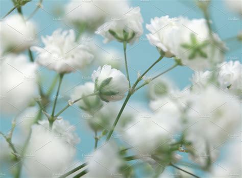 White Flower On Blue Background ~ Abstract Photos ~ Creative Market