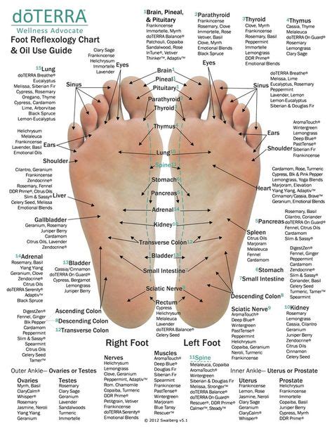 Foot Pain Chart Top