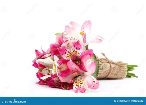 Bouquet Of Lily Flowers On A White Background Stock Image Image Of Closeup Blossom 54258223