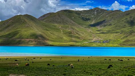 Yamdrok Lake One Of The Three Sacred Lakes In Tibet Cgtn