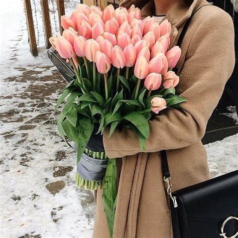Пин от пользователя Anni Roca на доске Flowers🌸 Розовые тюльпаны