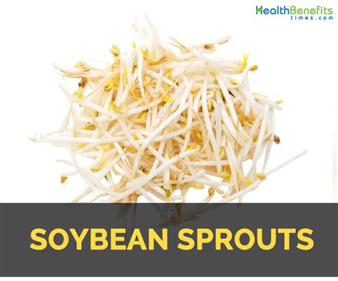 Soybean Sprouts Nutrition