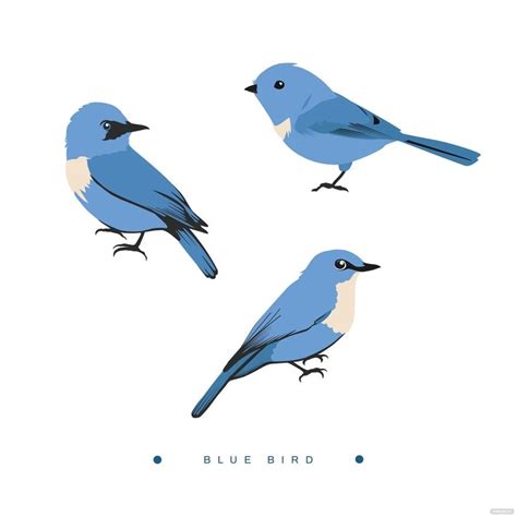 Blue Bird Vector In Illustrator Svg  Eps Png Download