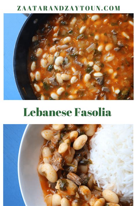 Lebanese Fasolia Bi Lahme White Bean And Meat Stew Recipe Bean