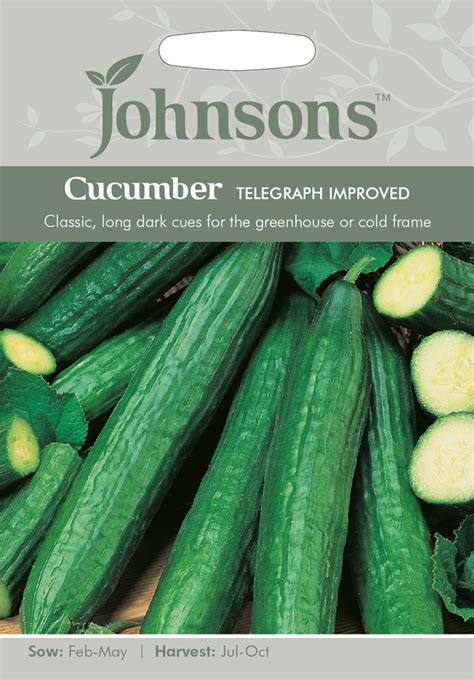 Cucumber Seeds Telegraph Improved By Johnsons Uk
