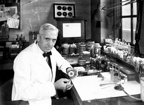 Hace A Os Alexander Fleming Descubri La Penicilina