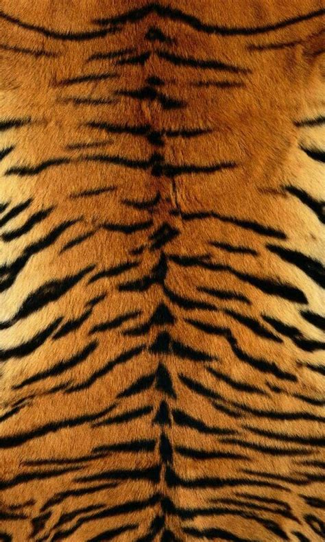 Pin By Cecilia L On Background Hoarder Tiger Skin Animal Print