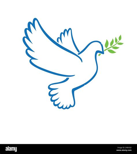 Beautiful Flying White Peace Dove Pigeon Bird Blue Outline With Olive