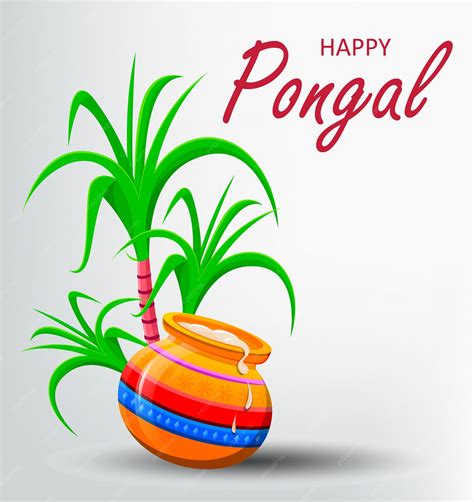 Premium Vector Happy Pongal Greeting Card On White Background