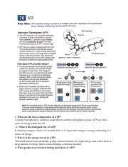 We did not find results for: Ecological Relationship answers.pdf - Ecological ...