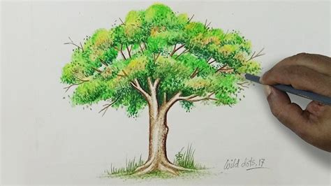 Tree Drawing A Tree With Simple Colored Pencils Tree Drawings