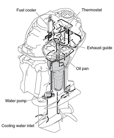 Johnson Outboard Cooling System Diagram Revolvediy