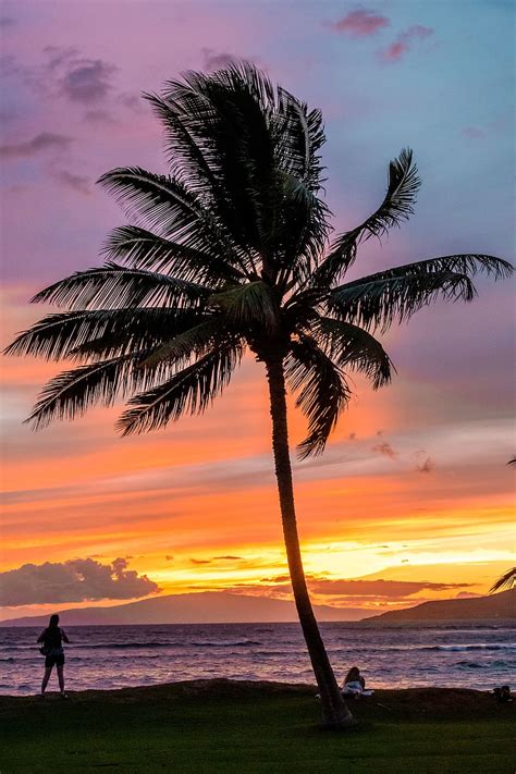Maui Hawaii Beach Landscape Nature Island Tropical Ocean Sunset